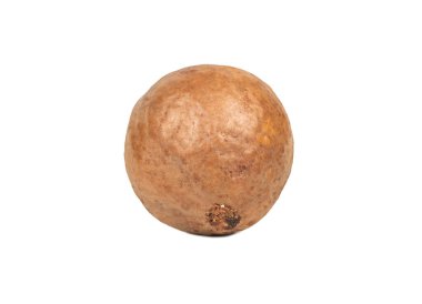 Beyaz arka planda izole edilmiş kabuklu Macadamia cevizi.