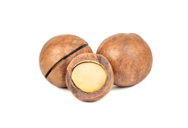 Beyaz arka planda ikiye bölünmüş Macadamia fındıkları.