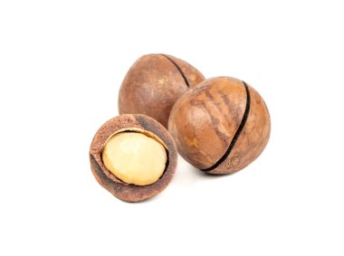 Beyaz arka planda yarı izole edilmiş iki Macadamia fındığı.