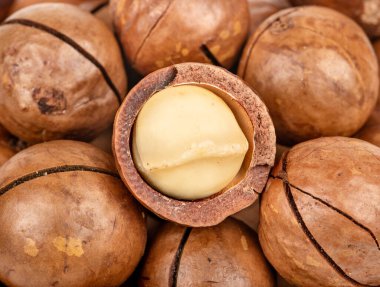 Dağınık Macadamia fındıkları, yarım porsiyon yakın plan.