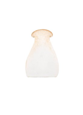 Beyaz arka planda izole edilmiş eringi mantarının yarısı.