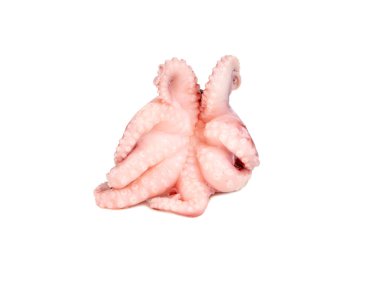 Beyaz arka planda izole edilmiş küçük turşulu ahtapot.