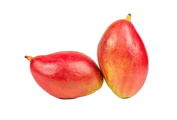 Two Delicious Red Mango Fruit Isolated White Background — Stock Photo, Image