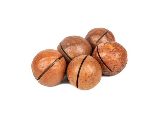 Varias Nueces Macadamia Sobre Fondo Blanco —  Fotos de Stock