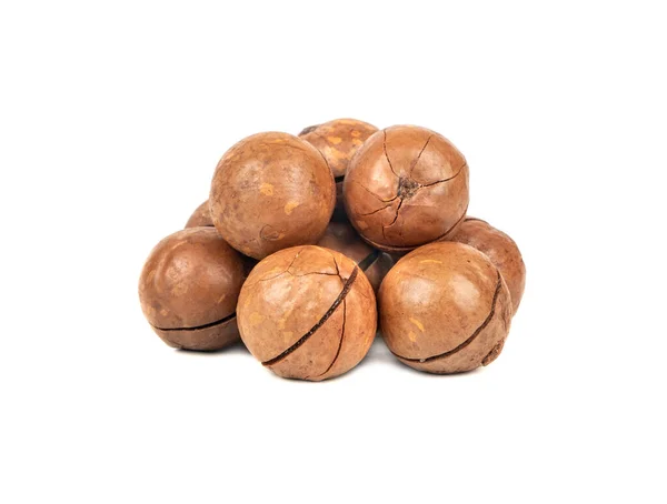 Small Pile Macadamia Nuts Shell White Background — Stock Photo, Image