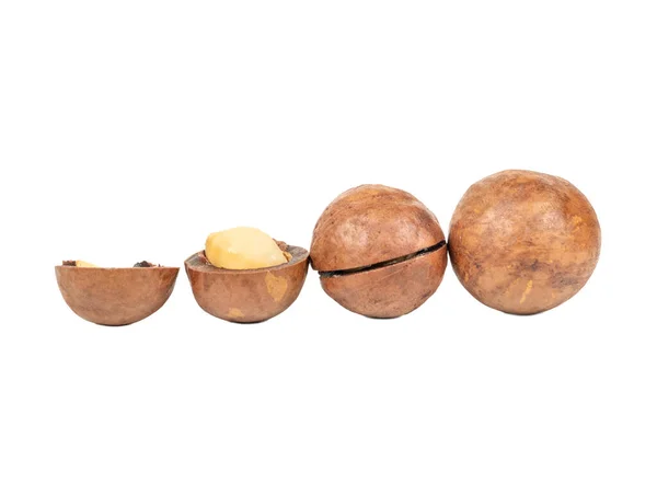 Macadamia Ořech Celé Polovinu Bílém Pozadí — Stock fotografie