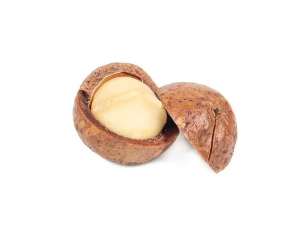 Split Macadamia Nut Isolated White Background — Stock Photo, Image