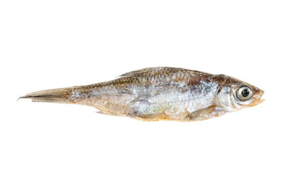 Pescado Pequeño Seco Aislado Sobre Fondo Blanco Vista Superior —  Fotos de Stock