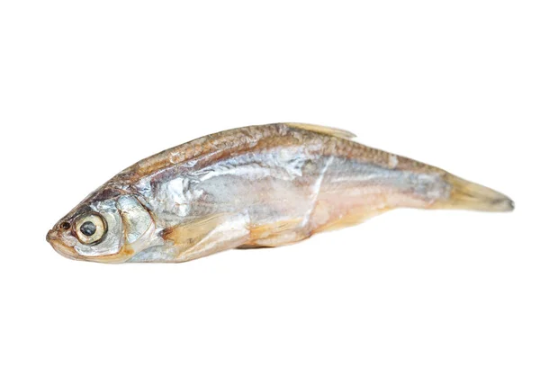 Suche Małe Ryby Izolowane Białym Tle — Zdjęcie stockowe