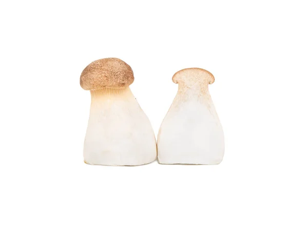 Cogumelo Eringi Com Metade Isolado Fundo Branco — Fotografia de Stock