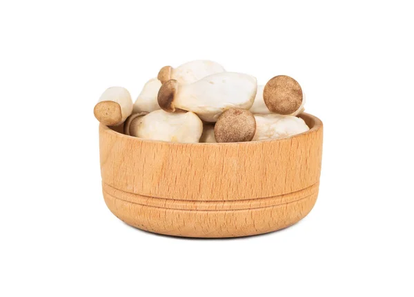 Cogumelos Eringi Uma Tigela Pequena Isolada Fundo Branco — Fotografia de Stock