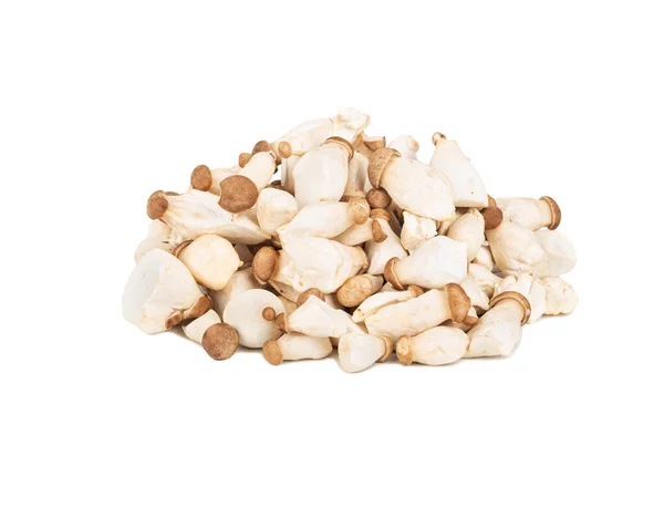 Pile Eringi Mushrooms White Background — Stock Photo, Image