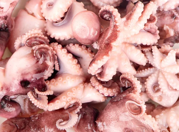 Dağınık, küçük, turşulu ahtapotların arka planı