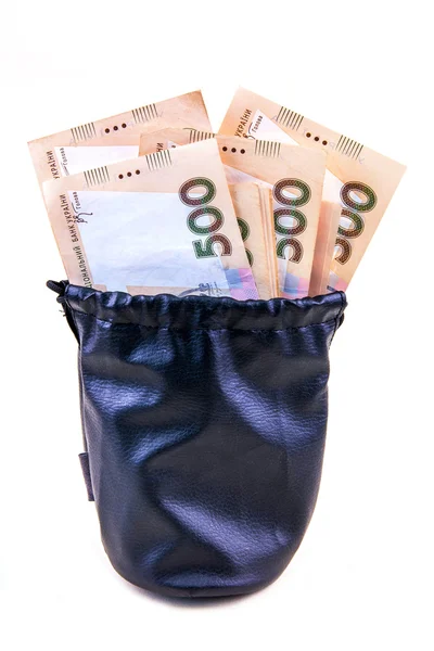 Money in the leather bag — Zdjęcie stockowe