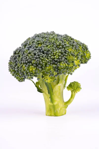 Brokkoli — Stockfoto