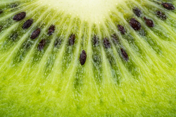 Kiwi — Stockfoto