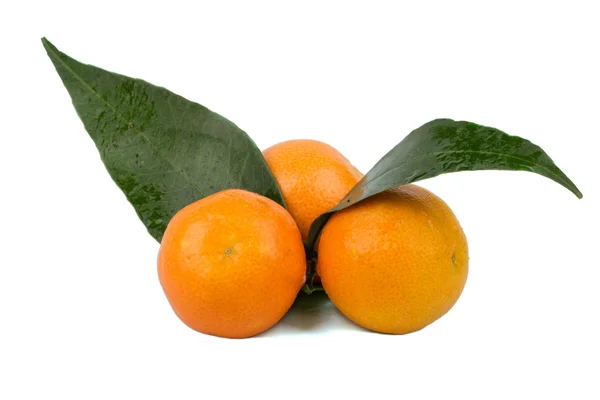 Mandarin — Stock Photo, Image