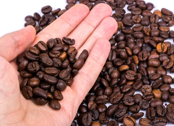 Grains of coffee in hand — Stock Photo, Image