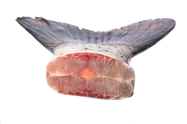 Rybi ogon — Zdjęcie stockowe