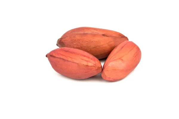 Tree peanuts — Stock Photo, Image
