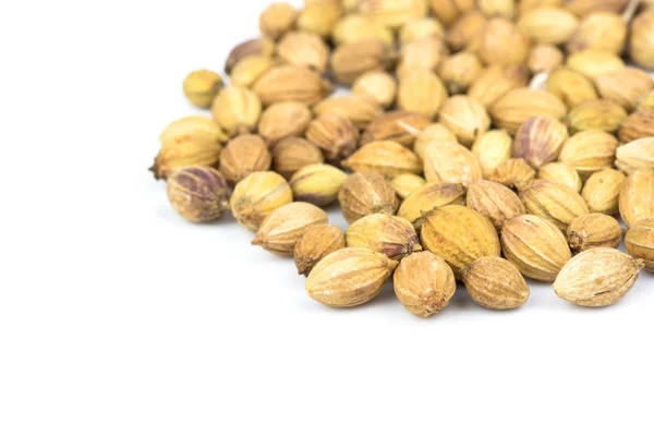 Coriander seeds — Stock Photo, Image