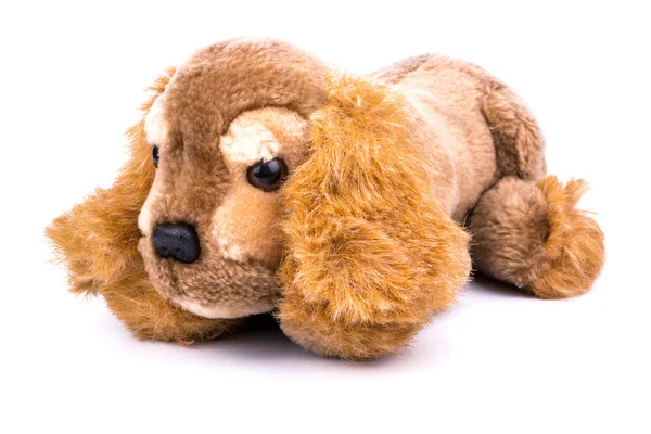 Plyšová hračka pes — Stock fotografie