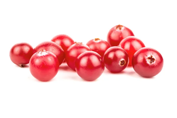 Cranberry — Stok Foto