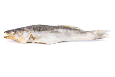 Dried fish walleye clipart