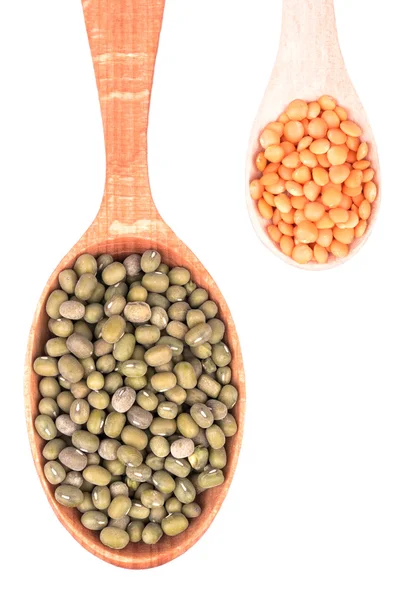 Two wooden spoons with lentils — Stock Photo, Image