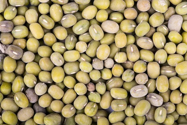 Green lentils — Stock Photo, Image