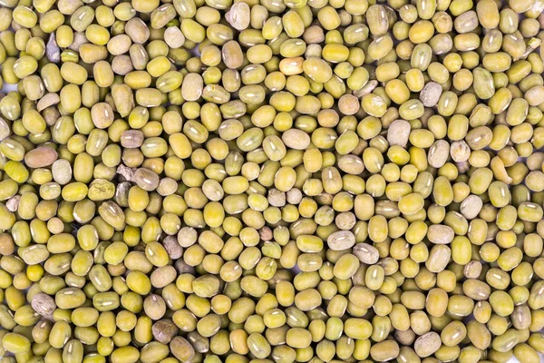 Green lentils — Stock Photo, Image