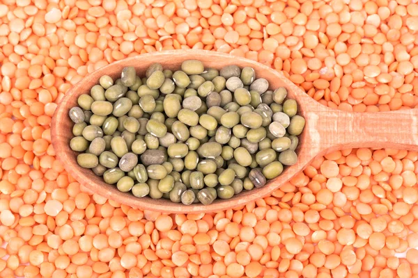 Green lentils in a spoon — Stock Photo, Image