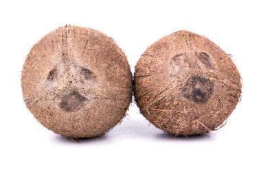 iki Hindistan cevizi