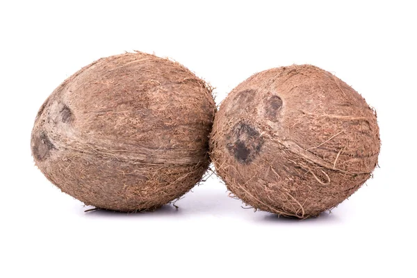 Two coconut — Stock Photo, Image