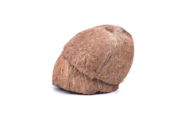 椰子壳 — 图库照片