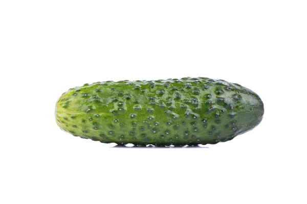 Pepino — Foto de Stock