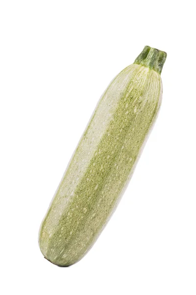 Midollo vegetale — Foto Stock