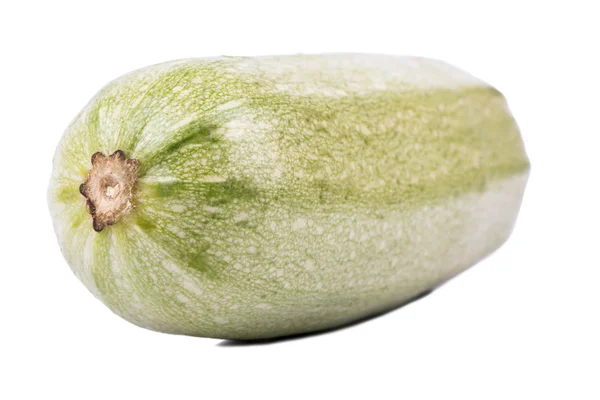 Vegetable marrow closeup — Stock Photo, Image