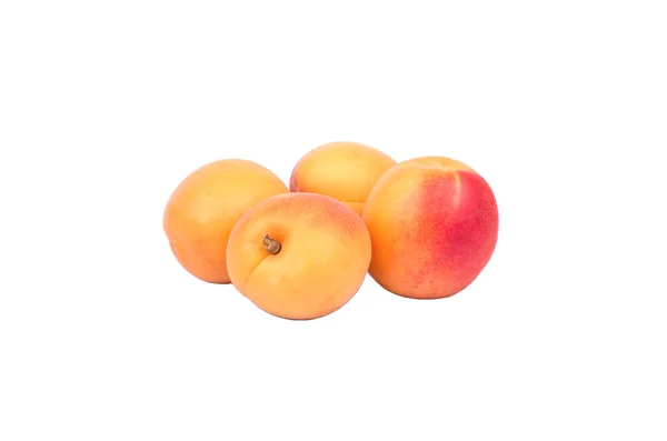 Fruit apricot — Stock Photo, Image
