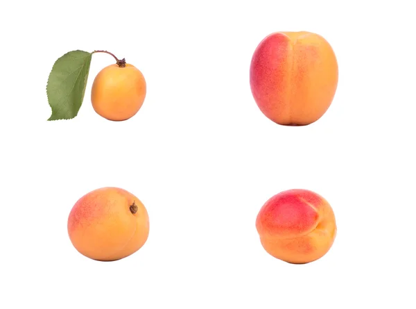 Albicocca di frutta — Foto Stock