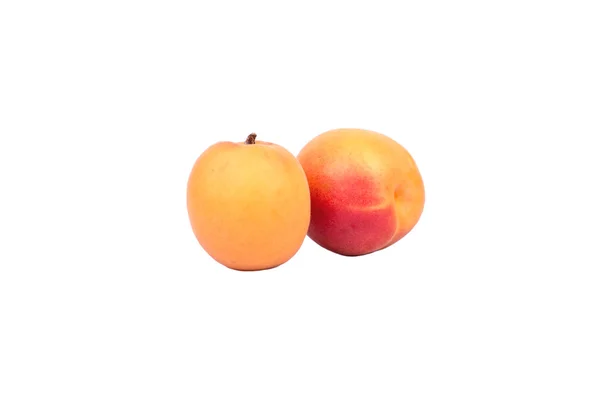 Dvě meruňky — Stock fotografie