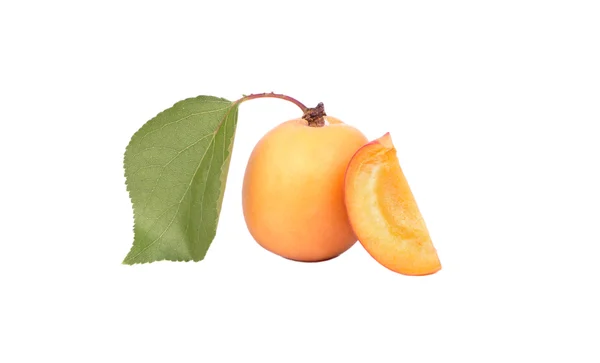 Fruit apricot — Stock Photo, Image