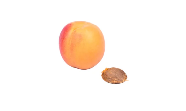 Ovocné meruňkové — Stock fotografie