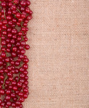 Redcurrants on sacking