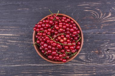 Redcurrants bir kabın içinde