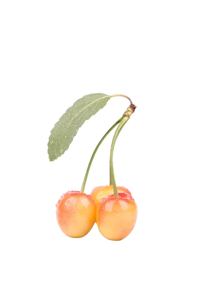 Three cherries — Stock Photo, Image
