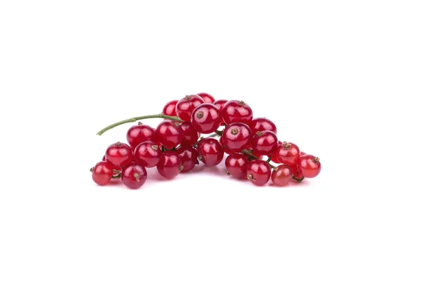 Redcurrant — Stok Foto