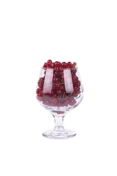 Redcurrants in a glass — Stock Photo, Image