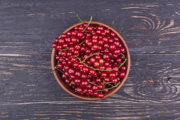 Redcurrants in a bowl — Stock Photo, Image