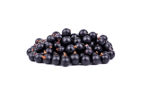 Black currant — Stock Photo, Image